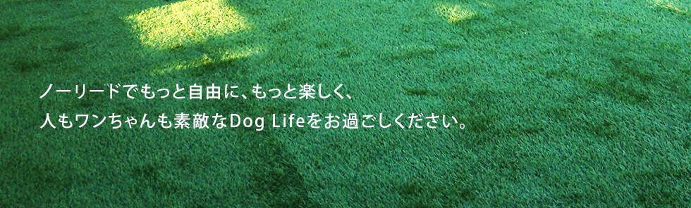 ノーリードでもっと自由に、もっと楽しく、人もワンちゃんも素敵なDog Lifeをお過ごしください。