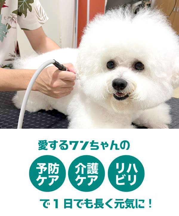愛するワンちゃんの予防ケア、介護ケア、リハビリで1日でも長く元気に!